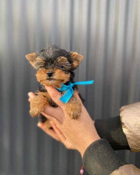 38b613d05135f98cd535ce748b54dc2c