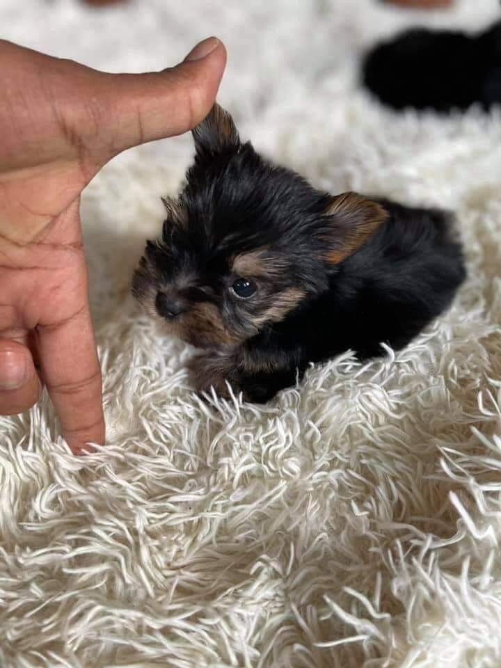 81b2b50322a22c5fc7d84a329c4fef25