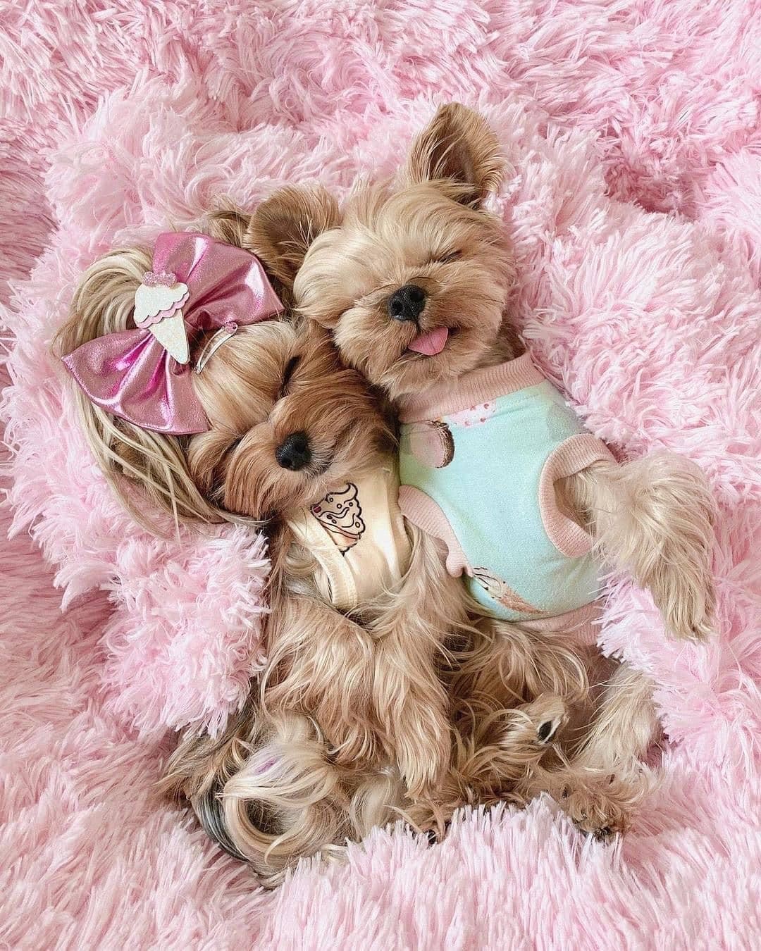 82b3ee864b1ae5324545bf71bc8d5ac7