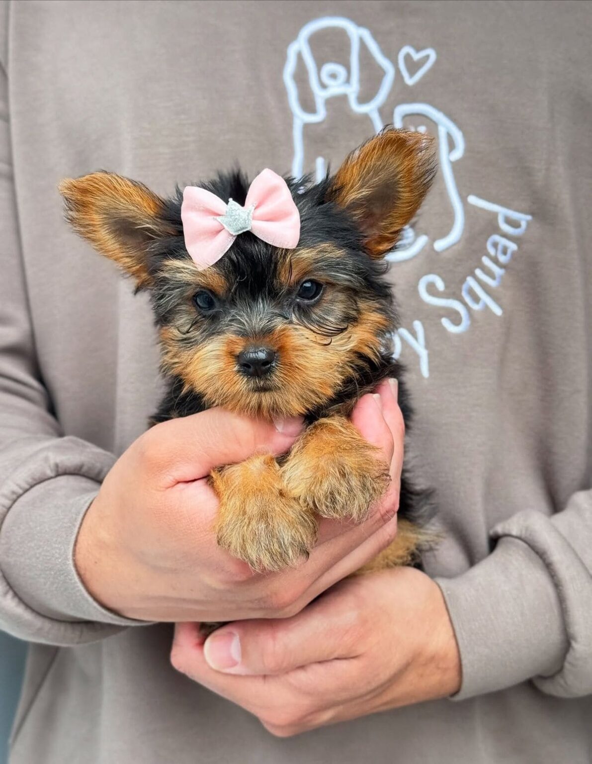 99e9d98b4350d98da654114a4a48aa73