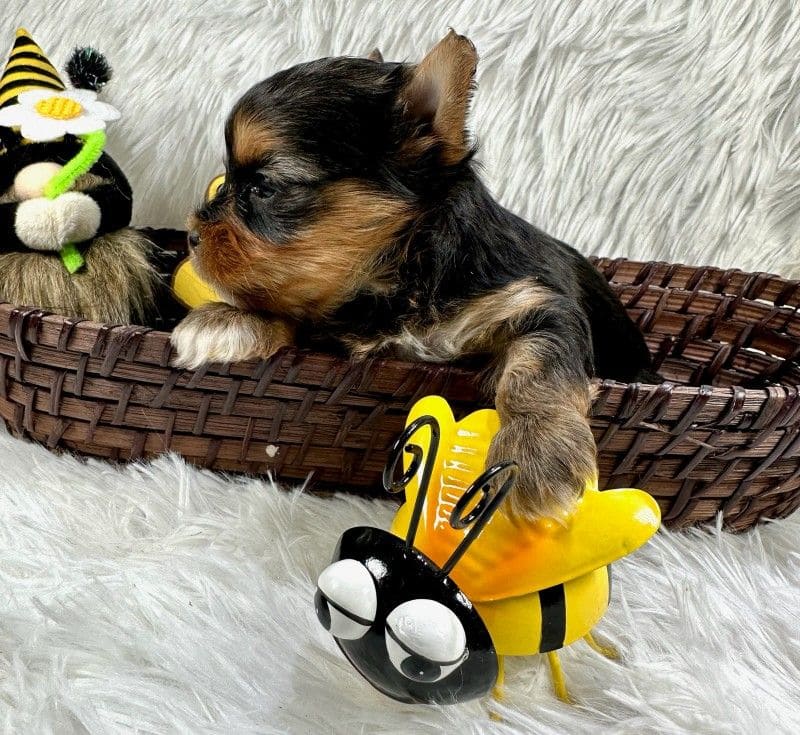 9cb69cf667569d59c63065f6672bcf71