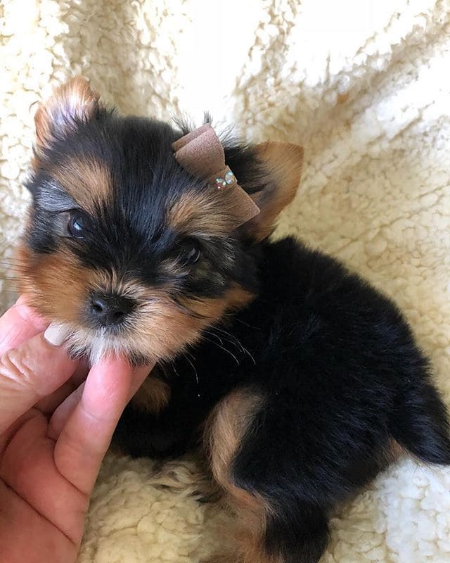 c52c9d21b59df1708e18c9294ed78b80