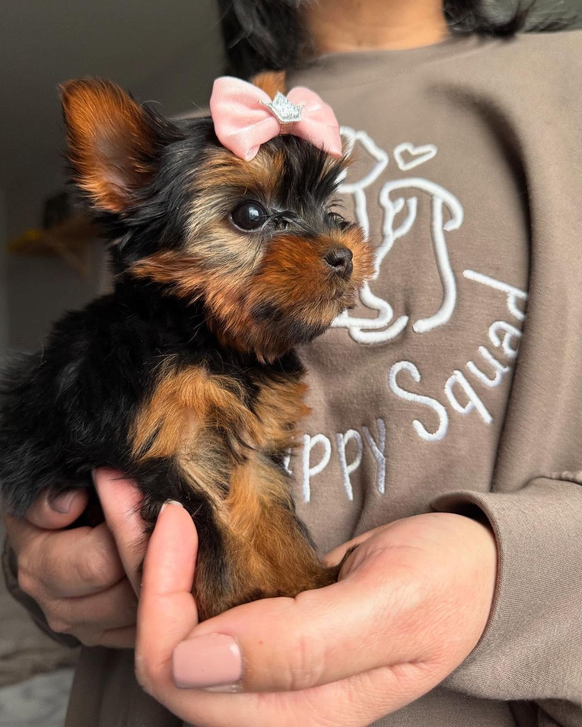 dc83200799b3abd74c4c7db3a20b73b2